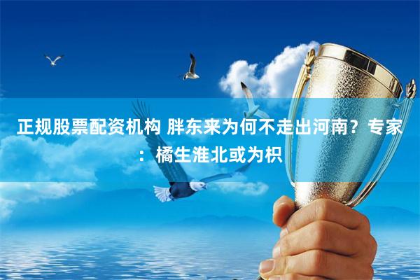 正规股票配资机构 胖东来为何不走出河南？专家：橘生淮北或为枳