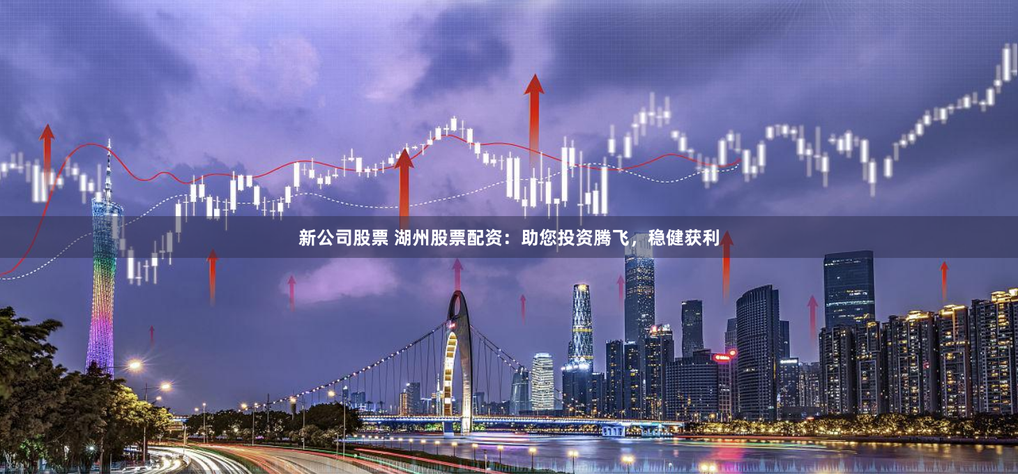 新公司股票 湖州股票配资：助您投资腾飞，稳健获利